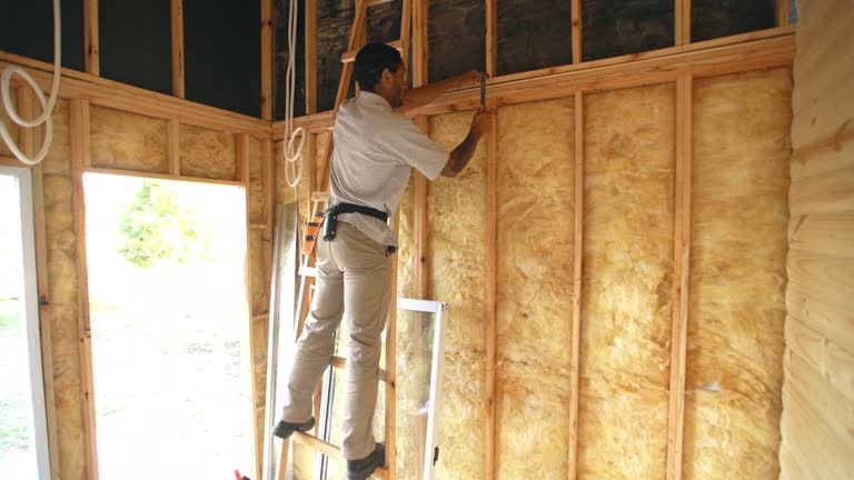 Trusted Fortuna Foothills, AZ Insulation Installation & Removal Experts